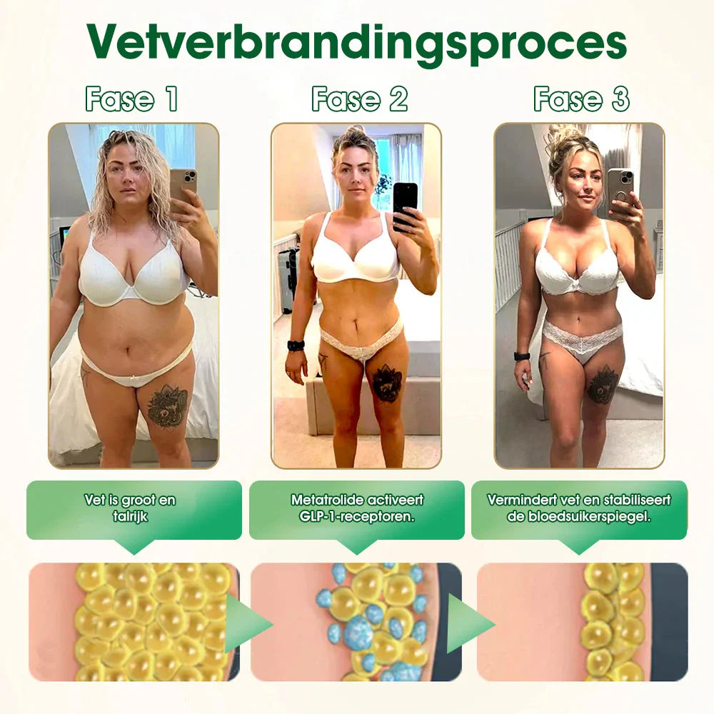 Officiële Winkel | 𝐏𝐄𝐀𝐊𝐀® 𝐆𝐋𝐏-𝟏 Gewichtsverlies Oplossing 💕💕 Ondersteuning bij Obesitas, Hart- en Vaatziekten, Diabetes, Slaapapneu, Gewrichtspijn en Meer 🇧🇪💪 (Copy)