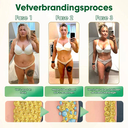 Officiële Winkel | 𝐏𝐄𝐀𝐊𝐀® 𝐆𝐋𝐏-𝟏 Gewichtsverlies Oplossing 💕💕 Ondersteuning bij Obesitas, Hart- en Vaatziekten, Diabetes, Slaapapneu, Gewrichtspijn en Meer 🇧🇪💪 (Copy)